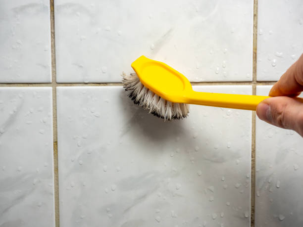 Professional Mold Removal in Running Springs, CA