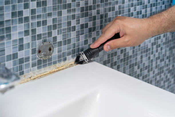 Best Mold Removal Company Near Me  in Running Springs, CA