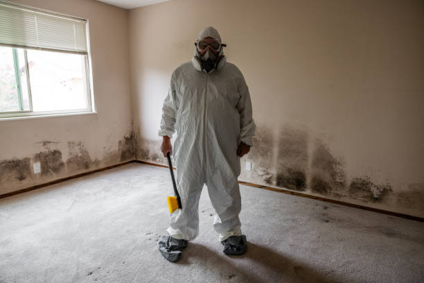 Best Crawl Space Mold Removal  in Running Springs, CA
